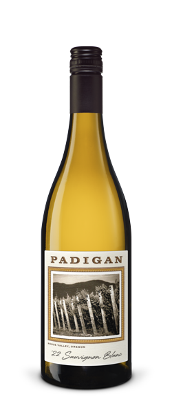 Bottle of 2022 Padigan Sauvignon Blanc